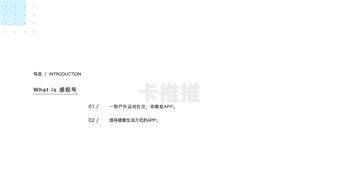 敢探号，供应商合作的新纪元与未来展望敢探号供应商代码
