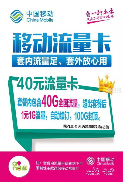 流量卡代理网，开启移动互联网创业新机遇流量卡代理网点源码